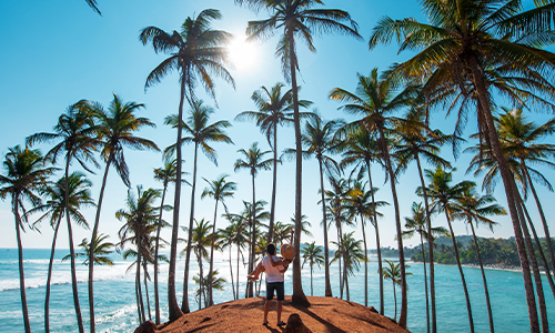 Mirissa’s Coastal Marvels